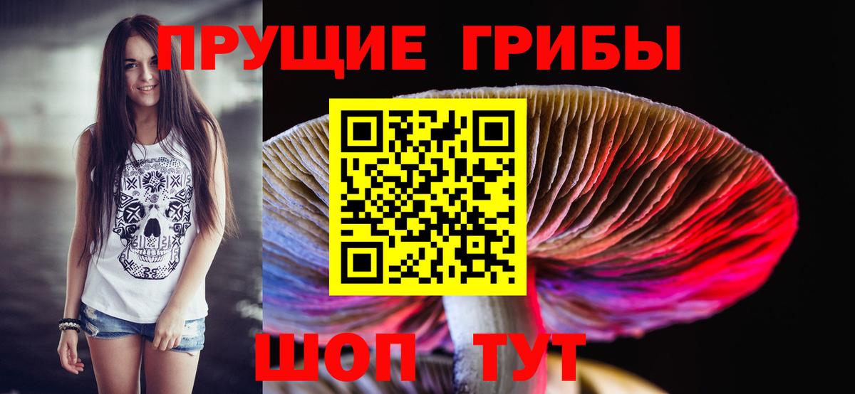 Галлюциногенные грибы Psilocybe  Вход с VPN  Кумертау 