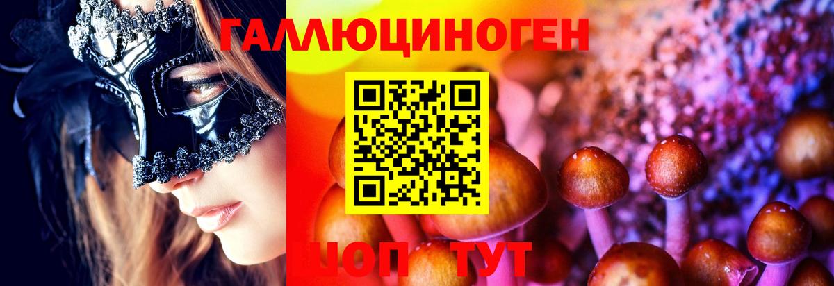 Псилоцибиновые грибы Cubensis Кумертау